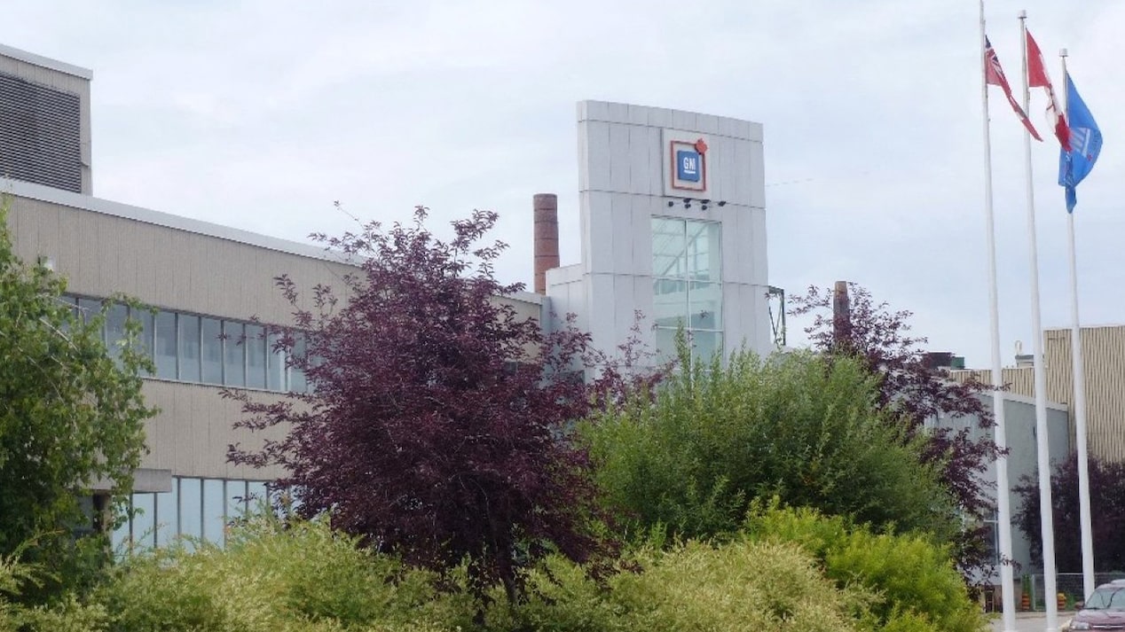 View of Trees in Front of a Building with Flags in Front